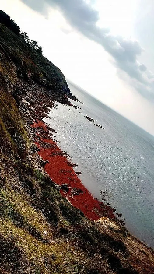 Ker Goh Velin Villa Saint-Gildas-de-Rhuys